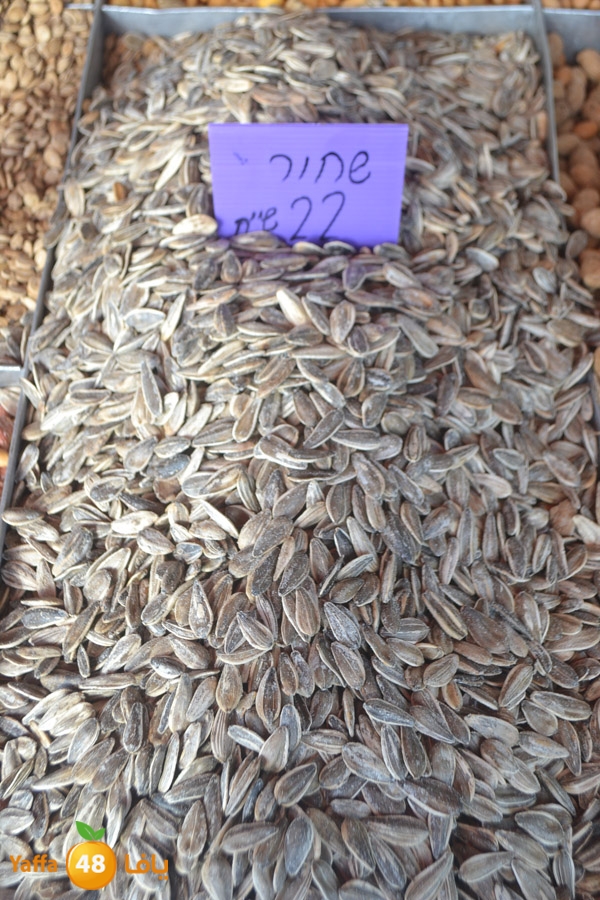 mokasaratshadyjamal (15).JPG